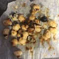 れあきち's cooksnap of when they made 酒粕チーズ豆.