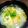 ☆☆☆おいしー☆☆☆'s cooksnap of when they made 鳥皮でナンプラースープ.