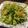 るんたった。's cooksnap of when they made ヘルシー節約！春菊のジェノベーゼ風パスタ.