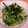 ＊菜々子＊'s cooksnap of when they made 白滝でほうれん草とﾂﾅの和風パスタ風.