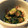 クックNET74S☆'s cooksnap of when they made 簡単☆きゅうりの昆布茶和え.
