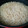 ぶぅびぃちゃん's cooksnap of when they made 『生きたお米』玄米の贅沢な炊き方 厚鍋編.
