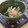 ねむねむごりちゃん's cooksnap of when they made 五分で簡単九条ねぎのおかかあえ.