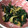KY328's cooksnap of when they made 舞茸とニラのささっと炒め.