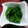 ともちゃん（＾０＾）'s cooksnap of when they made 納豆のタレでほうれん草のおひたし♪.