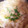 ピンクフレンチ's cooksnap of when they made 無添加◎簡単　基本の豚肉のみぞれ鍋.