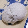 チョコ好き。's cooksnap of when they made お餅で◆簡単◆絶品大福.