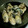 ヤミーヤムヤム's cooksnap of when they made 生牡蠣とポン酢！.