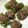 yuconut's cooksnap of when they made 簡単！椎茸の肉詰め！.