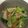 smilejunko's cooksnap of when they made 簡単10分★チンゲン菜えのきハム炒め.