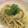メェメェ's cooksnap of when they made バジルとフープロで簡単本格ジェノベーゼ♪.