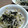 gemini67's cooksnap of when they made もやしとワカメのぽん酢和え.