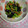 おまめちゃん♥️'s cooksnap of when they made ５分で一品☆大根菜とひじきのごま油炒め.