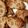 なめネコ's cooksnap of when they made 豚ミンチ○o。.蓮根挟み焼き.。o○.