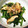 クックIKDMZ5☆'s cooksnap of when they made かぼす香る☆椎茸とほうれん草のお浸し.