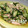 あっぷるん☆'s cooksnap of when they made さわやか♪きゅうりとツナのあえもの.