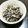 yukimiyuto's cooksnap of when they made ひじきのツナマヨサラダ♪.