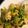Kadiak's cooksnap of when they made ミックス野菜で卵とニラの炒め物.