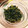yuka119's cooksnap of when they made 簡単☆ほうれん草のおひたし.