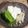 カヘルさん's cooksnap of when they made 簡単☆豆腐と好きなお野菜で湯豆腐鍋.