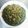 まーにゃ。's cooksnap of when they made 簡単‼カブの葉のふりかけ.
