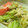 硬いプリン好き's cooksnap of when they made あっさりキャベツ炒め〜withしらす〜.