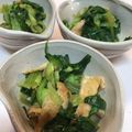 yuiyui0405's cooksnap of when they made パパッと簡単！高菜と油揚げの炒め煮.