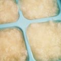 ＹＯＵ太's cooksnap of when they made シリコンモールドで作る 冷凍大根おろし♪.
