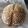 mac_chan's cooksnap of when they made ライ麦入りカンパーニュ.