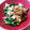 ネムネム犬's cooksnap of when they made 【使いきり】ほうれん草のかんたん白和え.