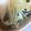 クック5N6VZL☆'s cooksnap of when they made 鱈の酒蒸し⭐.