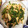 クックRAQJT1☆'s cooksnap of when they made ピーマンと鶏むね肉の細切り炒め.