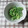 アタックひめちゃん's cooksnap of when they made 菜の花のからしマヨネーズ和え.