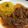 aiaivip's cooksnap of when they made 牛肉とトマトの赤ワイン煮込み.