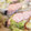 miiyaaaaan's cooksnap of when they made ダイエット☆鮭の蒸し煮.