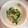 ngta05's cooksnap of when they made 節約レシピ♪豆苗とえのきのぽん酢和え.