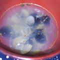 あかぷり's cooksnap of when they made 冷凍しじみで脂肪よさらばホットスープ.