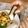 ガメコ's cooksnap of when they made マヨ醤油餅.