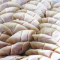 りょーみー's cooksnap of when they made 簡単！餃子の包み方.