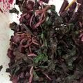 中年ケニア's cooksnap of when they made ビーツの葉とシラスを炒めるだけ！.