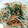 Jyohana's cooksnap of when they made 節約！もやし炒め.