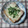 アタックひめちゃん's cooksnap of when they made 厚揚げチーズのっけ焼き♪.