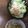 ぴかちゃら's cooksnap of when they made 簡単＆シンプル☆マカロニサラダ.