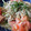 ともちきりん's cooksnap of when they made 金のごまだれ蕎麦♪.