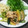 ゆかゆか０６'s cooksnap of when they made 豚肉と野菜のオイスターソース炒め.