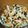 moco33's cooksnap of when they made 切り干し大根の煮物.