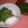 まみむめかあちゃん's cooksnap of when they made えごま漬け.