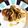 피오！'s cooksnap of when they made 秋鮭ときのこの味噌マヨバターホイル焼き.