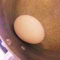 an28na's cooksnap of when they made ✿子どもも作れる♪簡単☆ゆで卵✿.