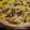 3匹の子ブタｍａｍａ's cooksnap of when they made ベーコンとしめじの簡単キッシュ♪.